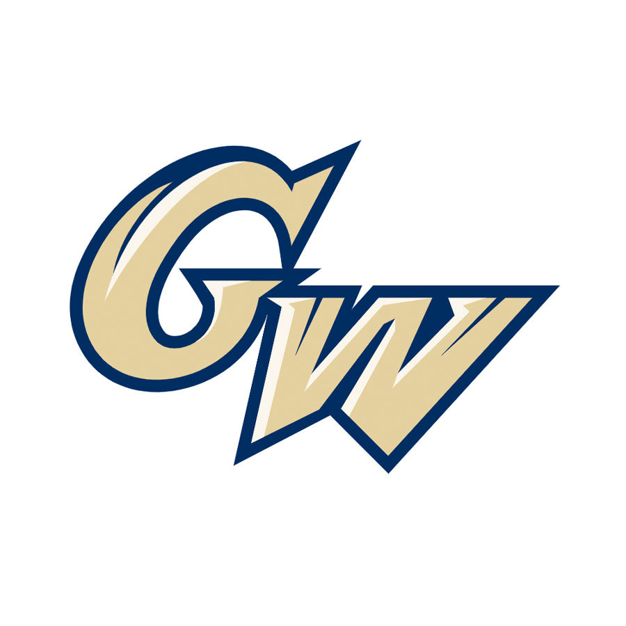 George Washington Revolutionaries