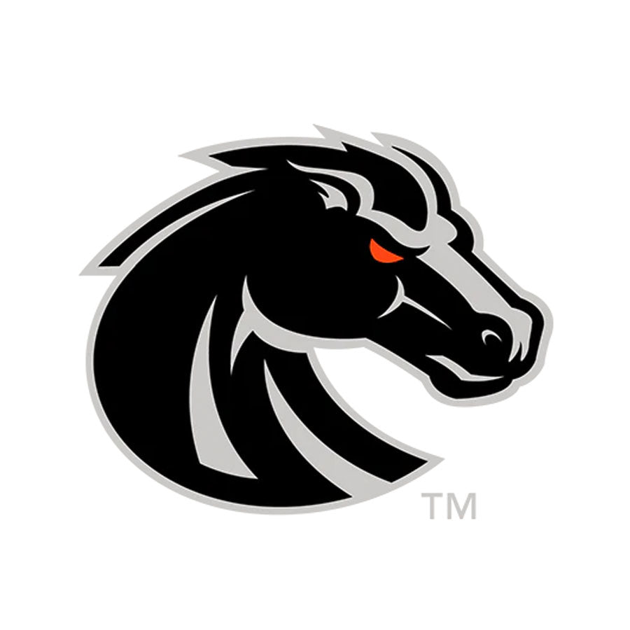 Boise State Broncos