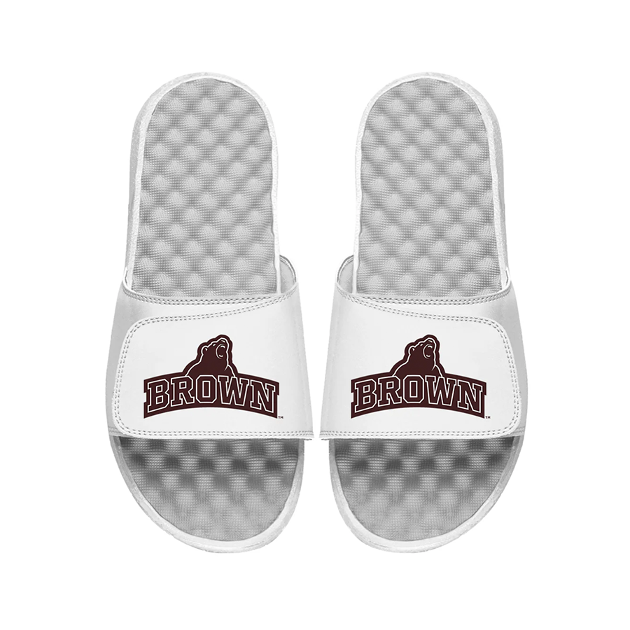 Brown Bears ISlide Collection