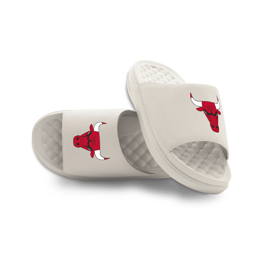 Chicago Bulls ISlide Collection