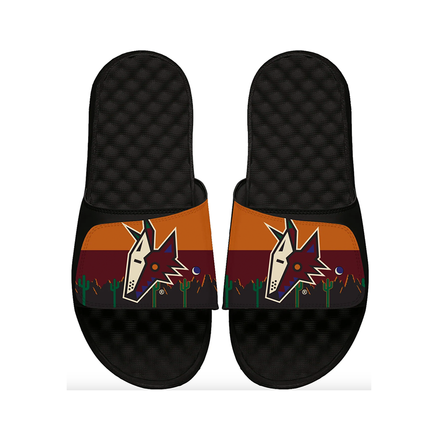 Arizona Coyotes ISlide Collection