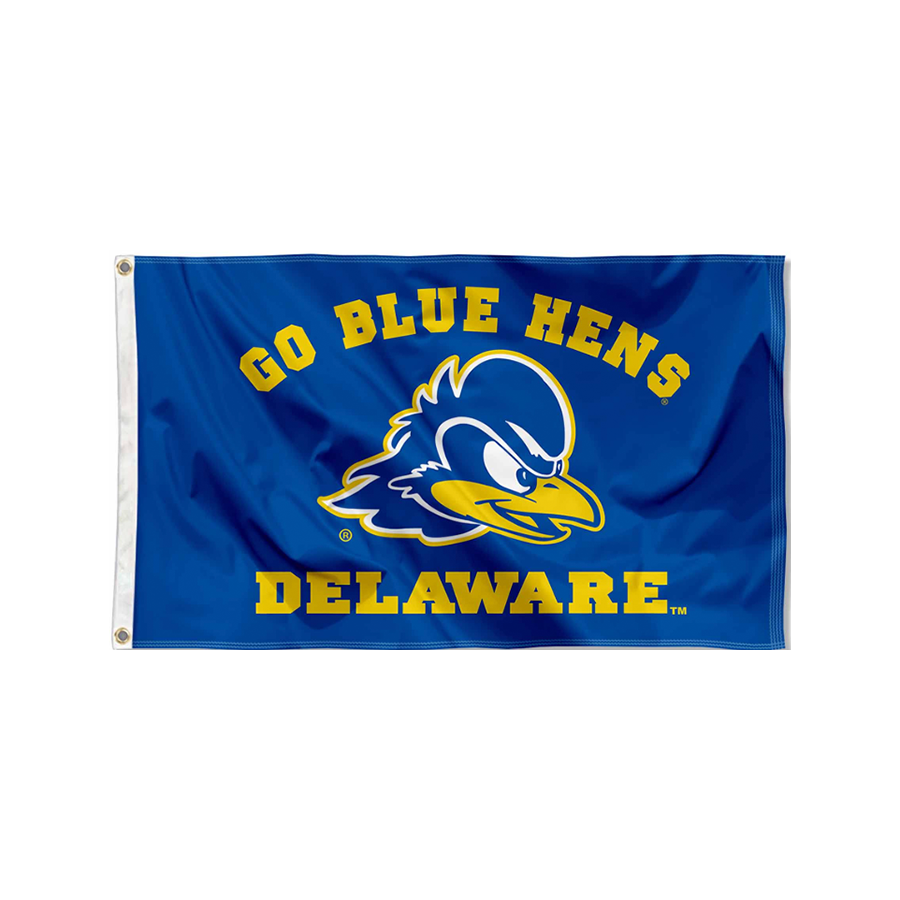 Delaware Blue Hens Team Accessories