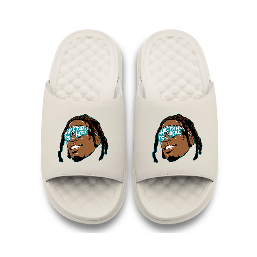 Miami Dolphins ISlide Collection