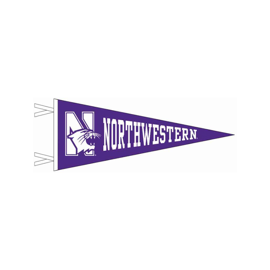 Northwestern Wildcats Team Accessories