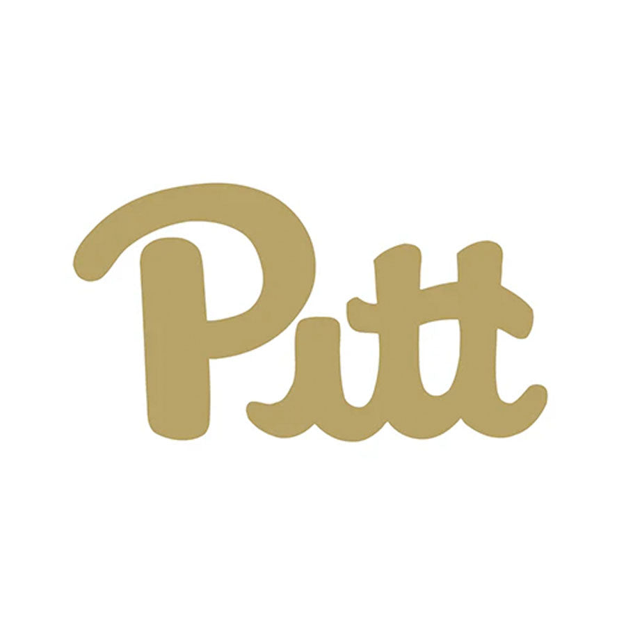 Pittsburgh Panthers