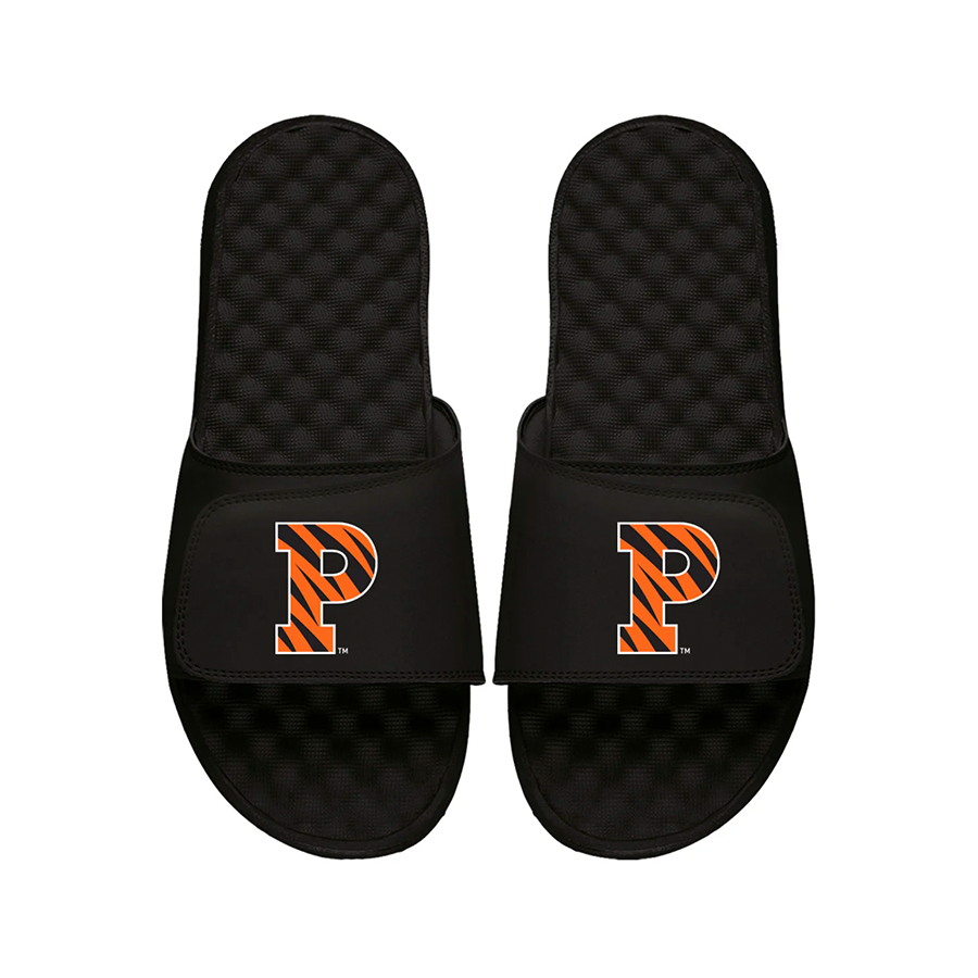 Princeton Tigers ISlide Collection