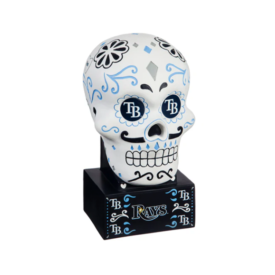 Tampa Bay Rays Team Accessories