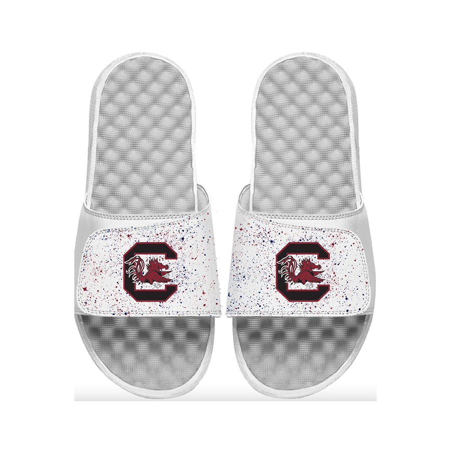 South Carolina Gamecocks ISlide Collection