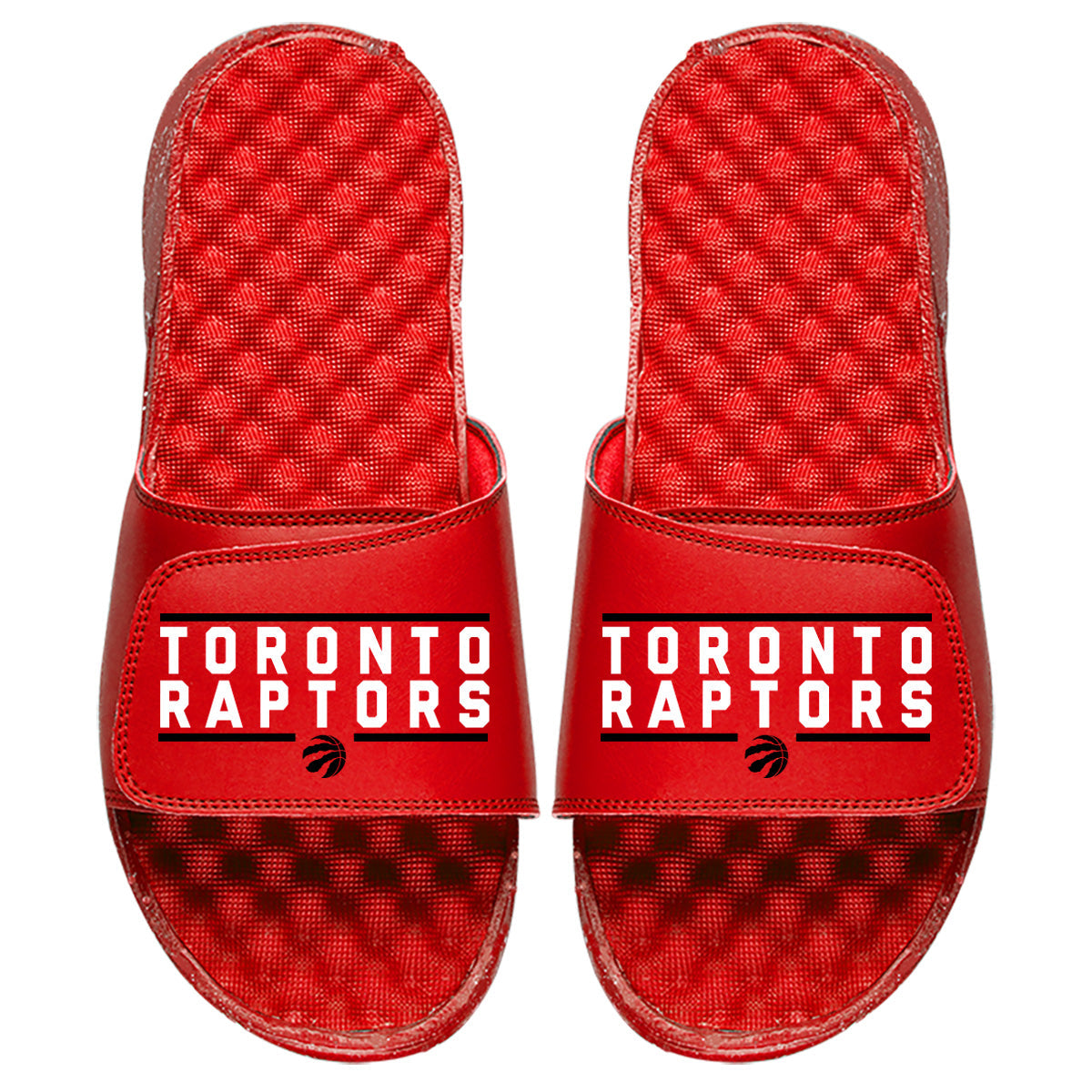 Toronto Raptors Bar Logo Slides