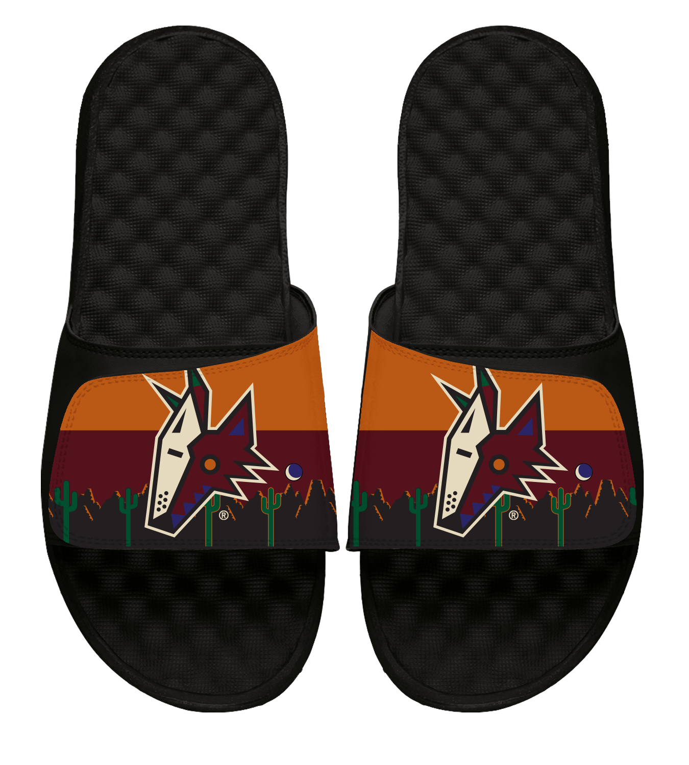 Arizona Coyotes Reverse Retro Slides