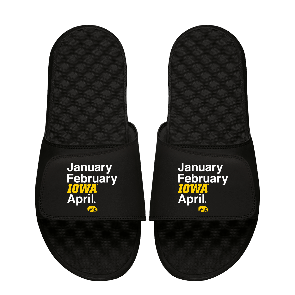 Iowa Hawkeyes Basketball Months