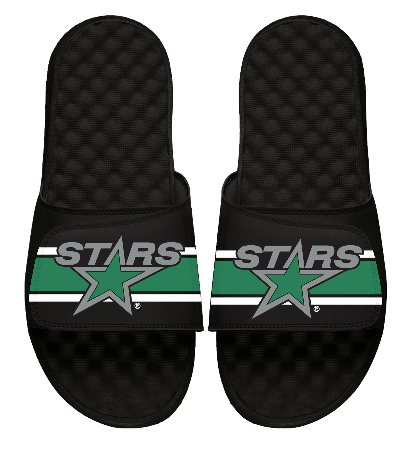 Dallas Stars Reverse Retro Slides