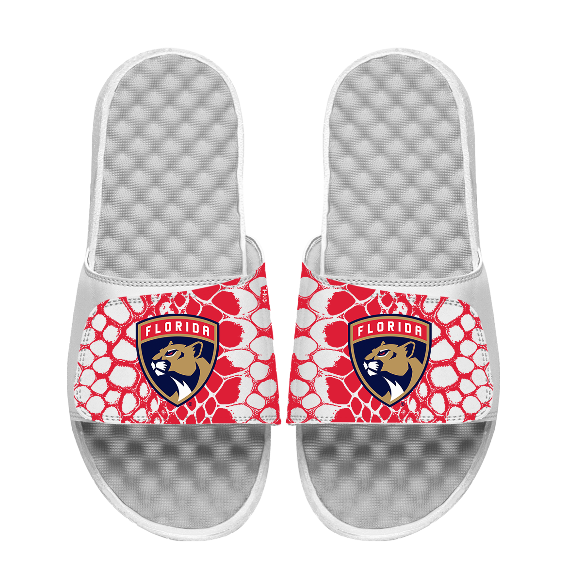 Panthers Year of the Snake