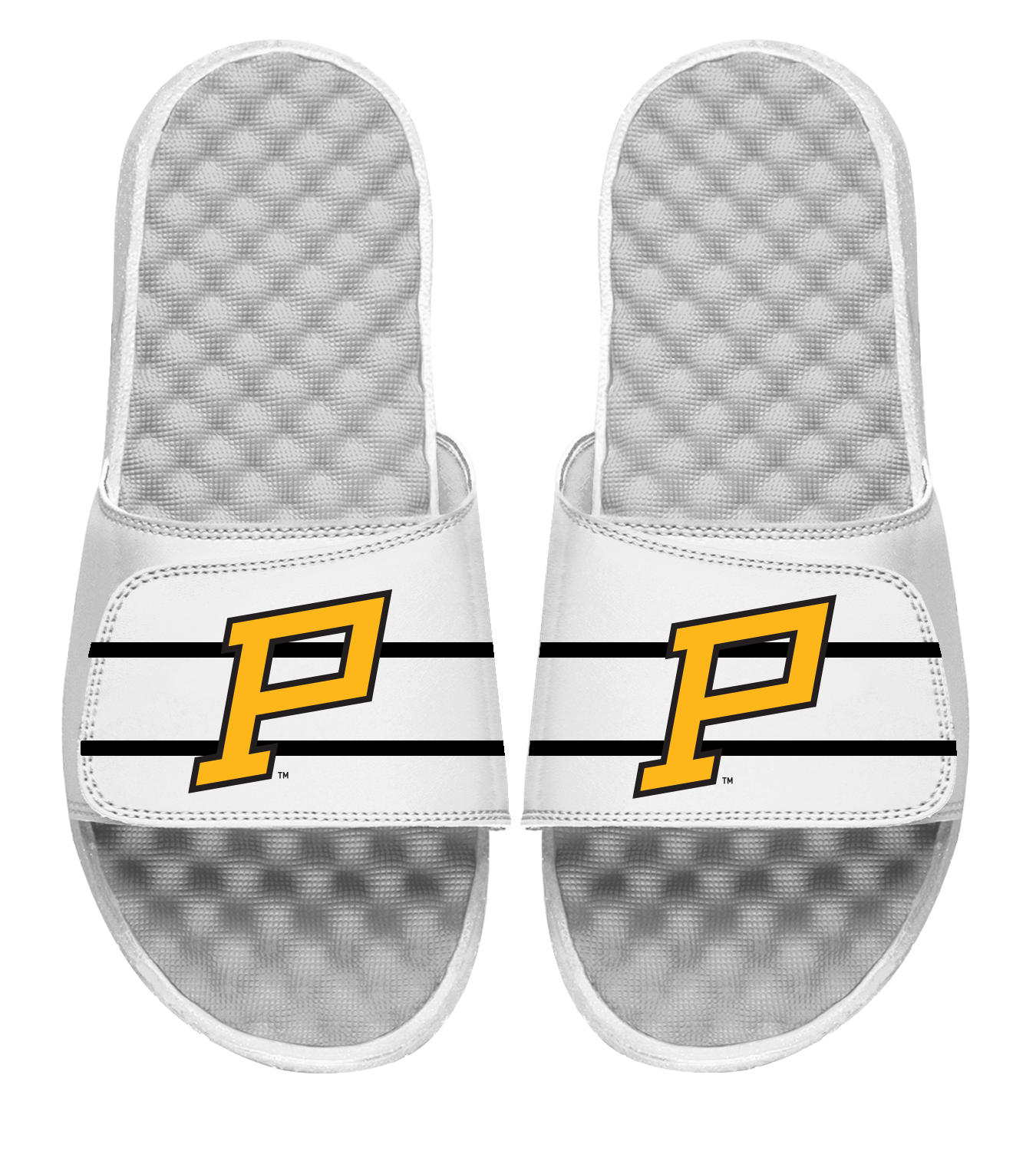 Pittsburgh Penguins Winter Classic 2023 Slides
