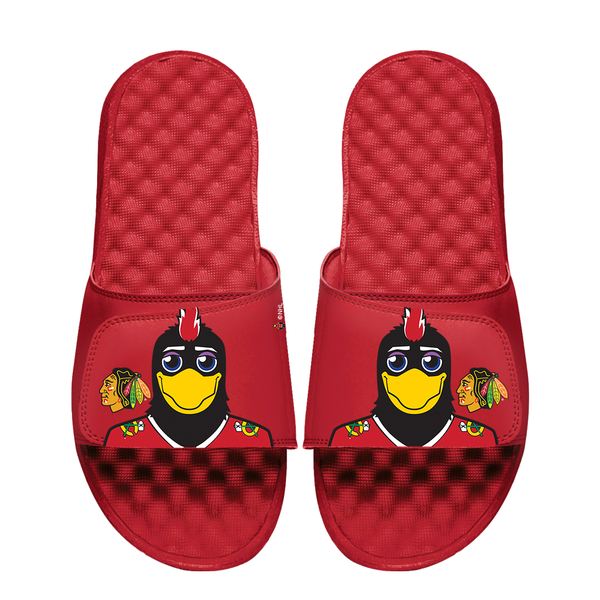 Chicago Blackhawks Mascot