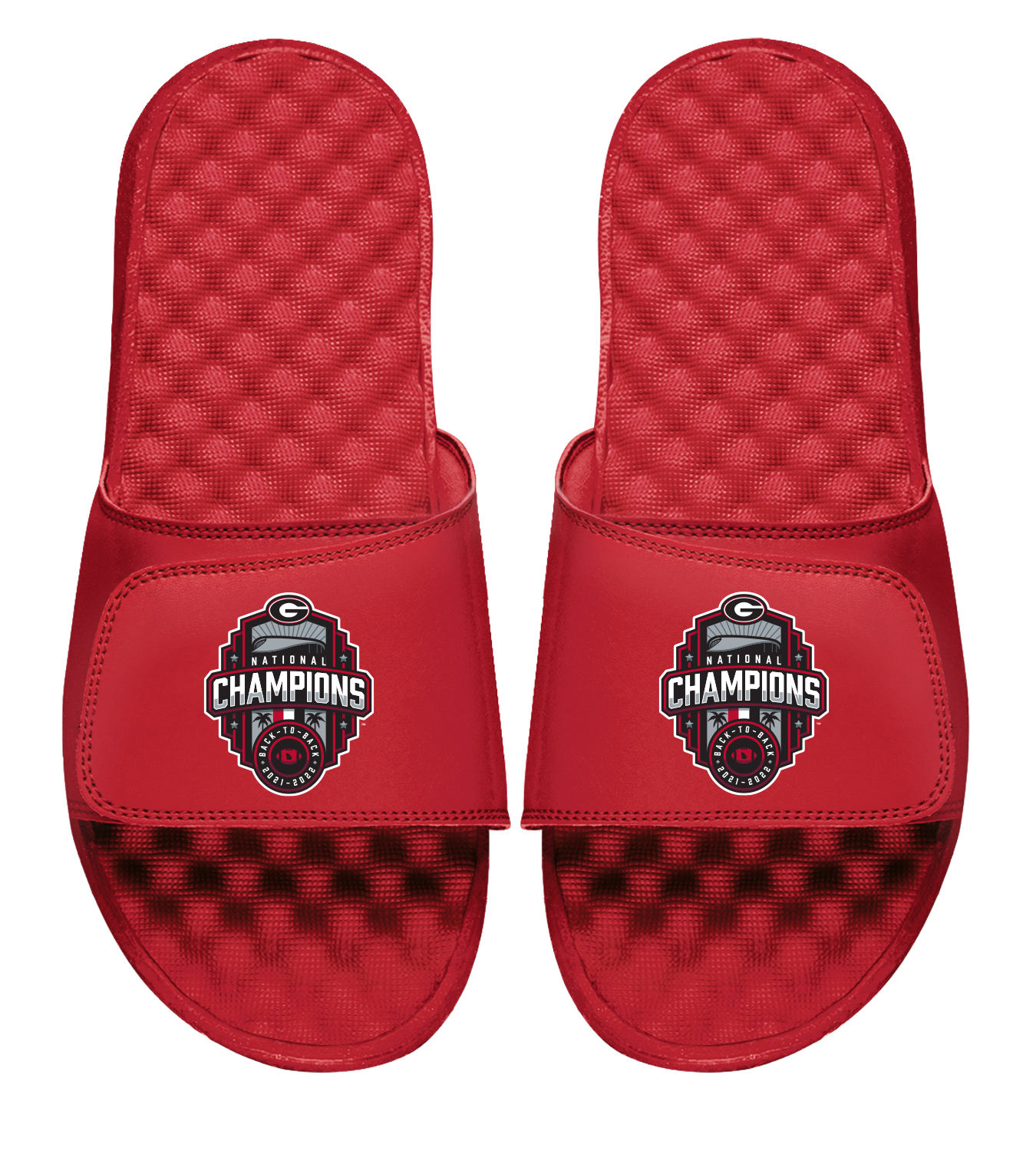 Georgia National Champions 22 Slides