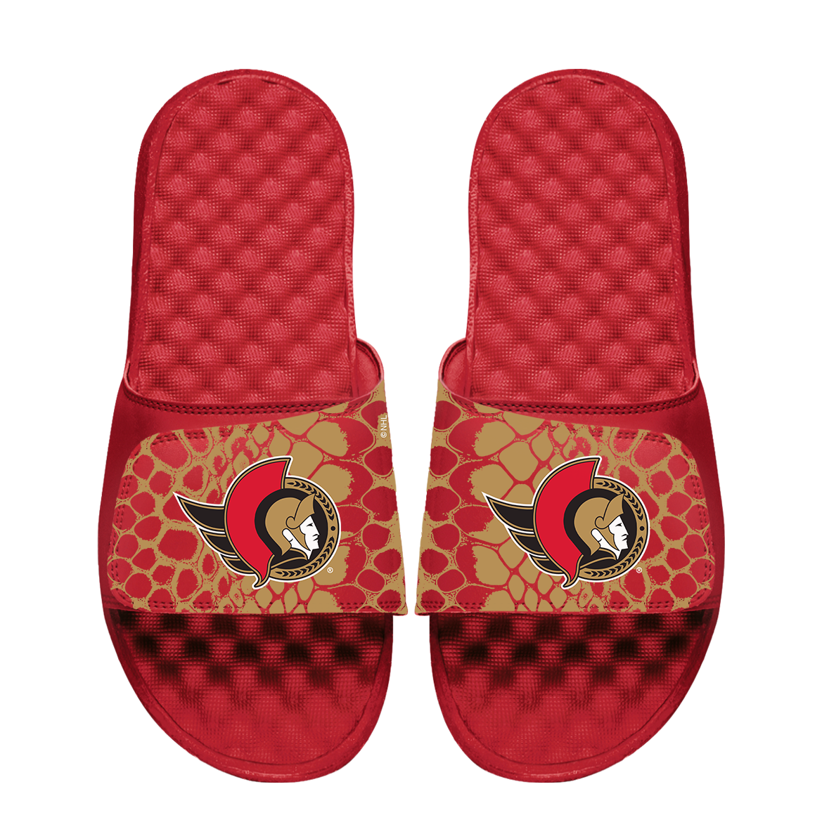 Senators Year of the Snake