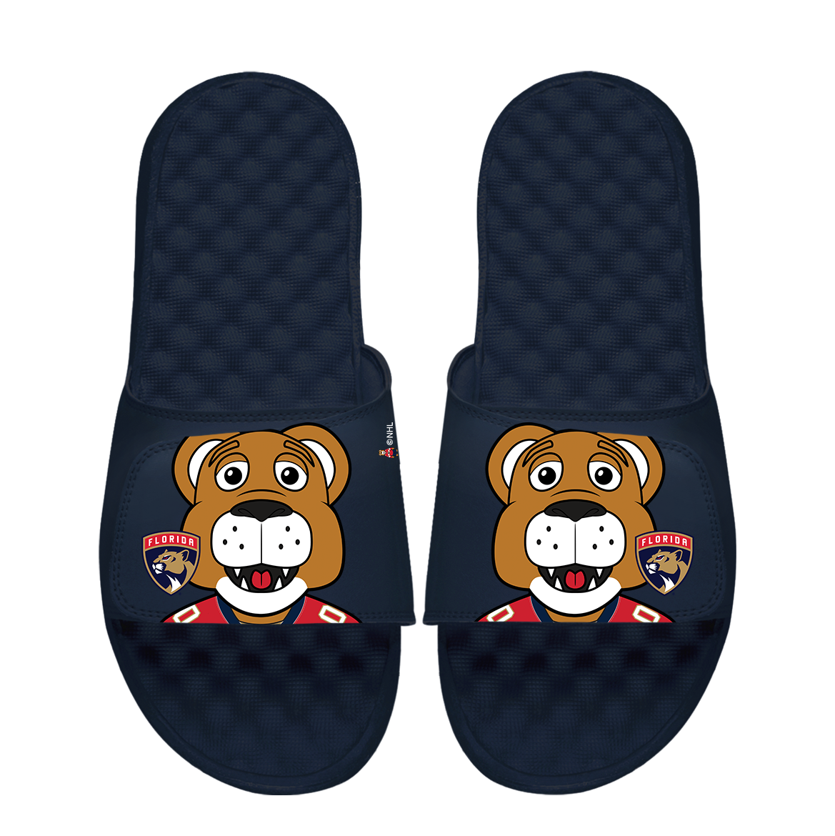 Florida Panthers Mascot