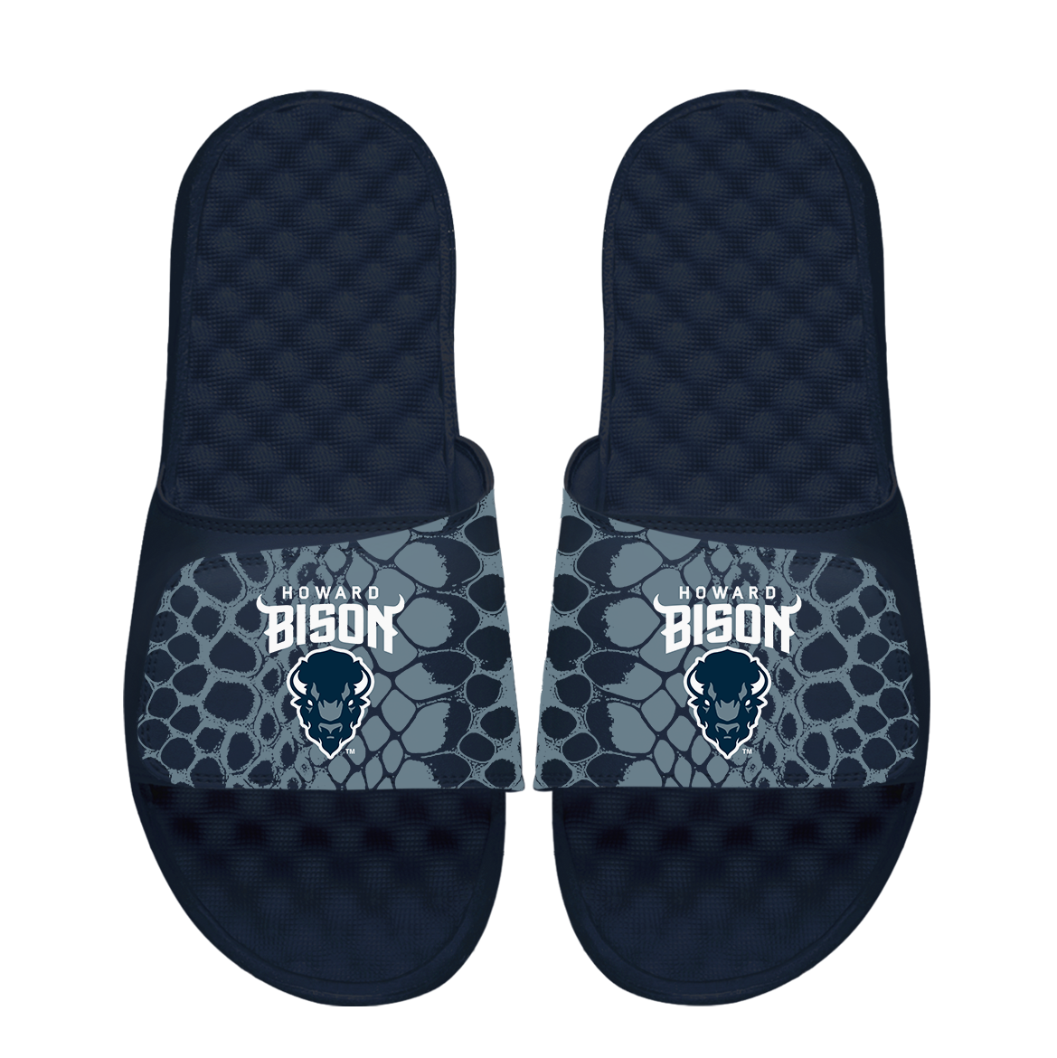 Howard Bison Year of the Snake