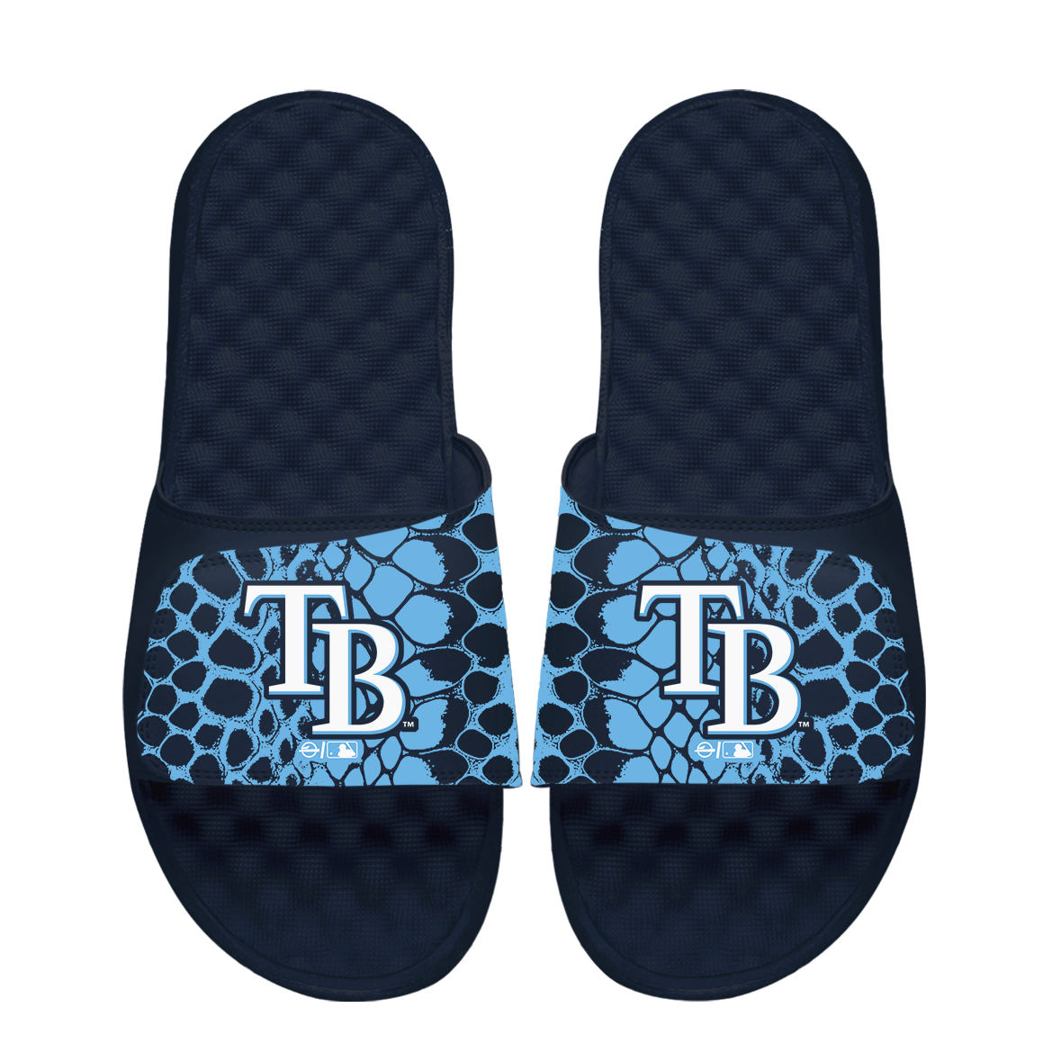 Tampa Bay Rays Year of the Snake