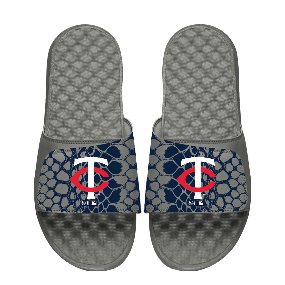 Minnesota Twins Year of the Snake