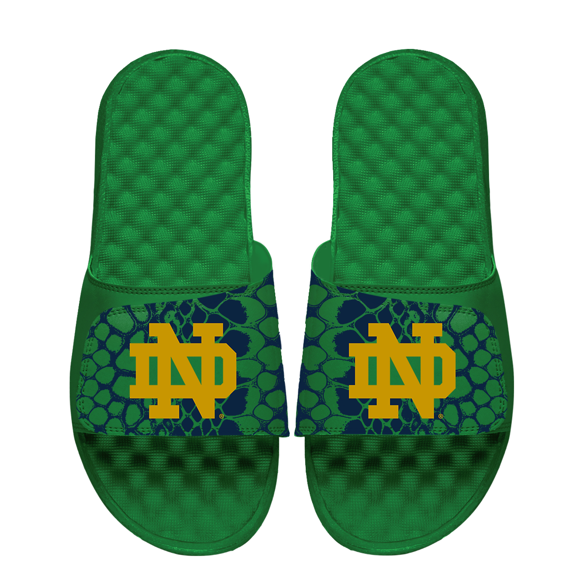 Notre Dame Fighting Irish Year of the Snake