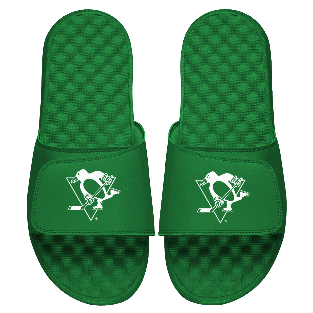 PIT Penguins Whiteout Slides