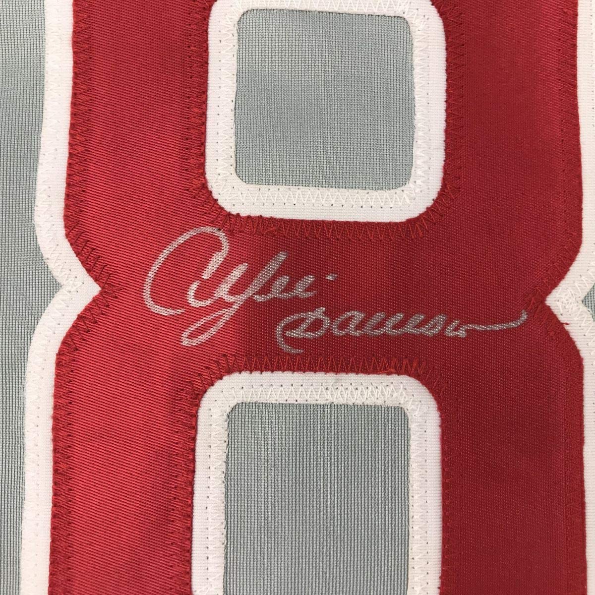 Framed Autographed/Signed Andre Dawson 35x39 Chicago Grey Baseball Jersey JSA COA