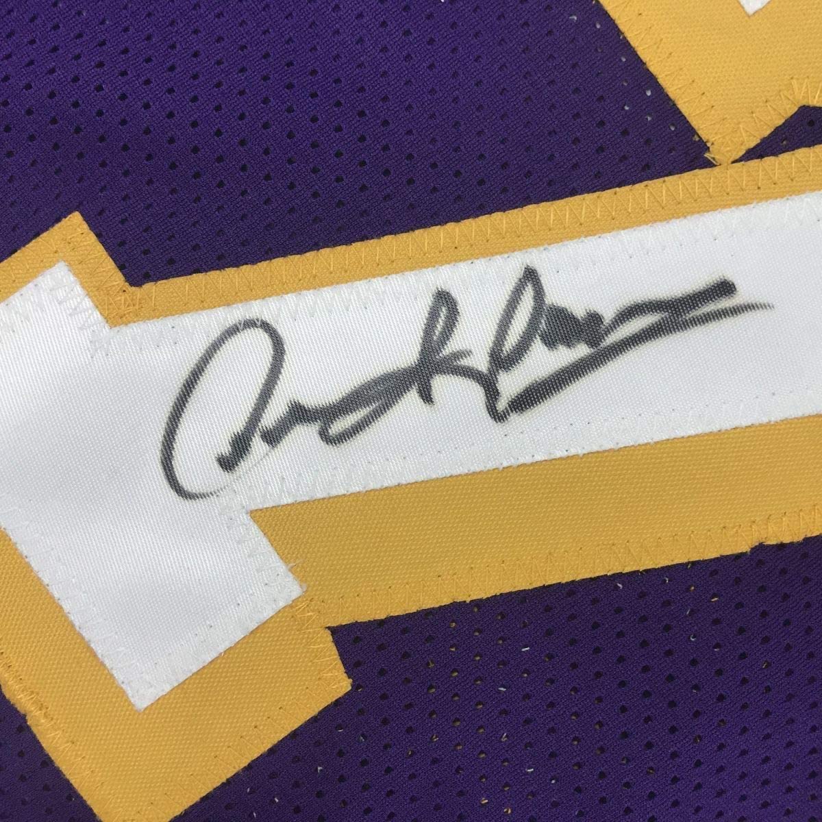 Framed Autographed/Signed Dennis Rodman 35x39 Los Angeles LA Purple Basketball Jersey PSA/DNA COA