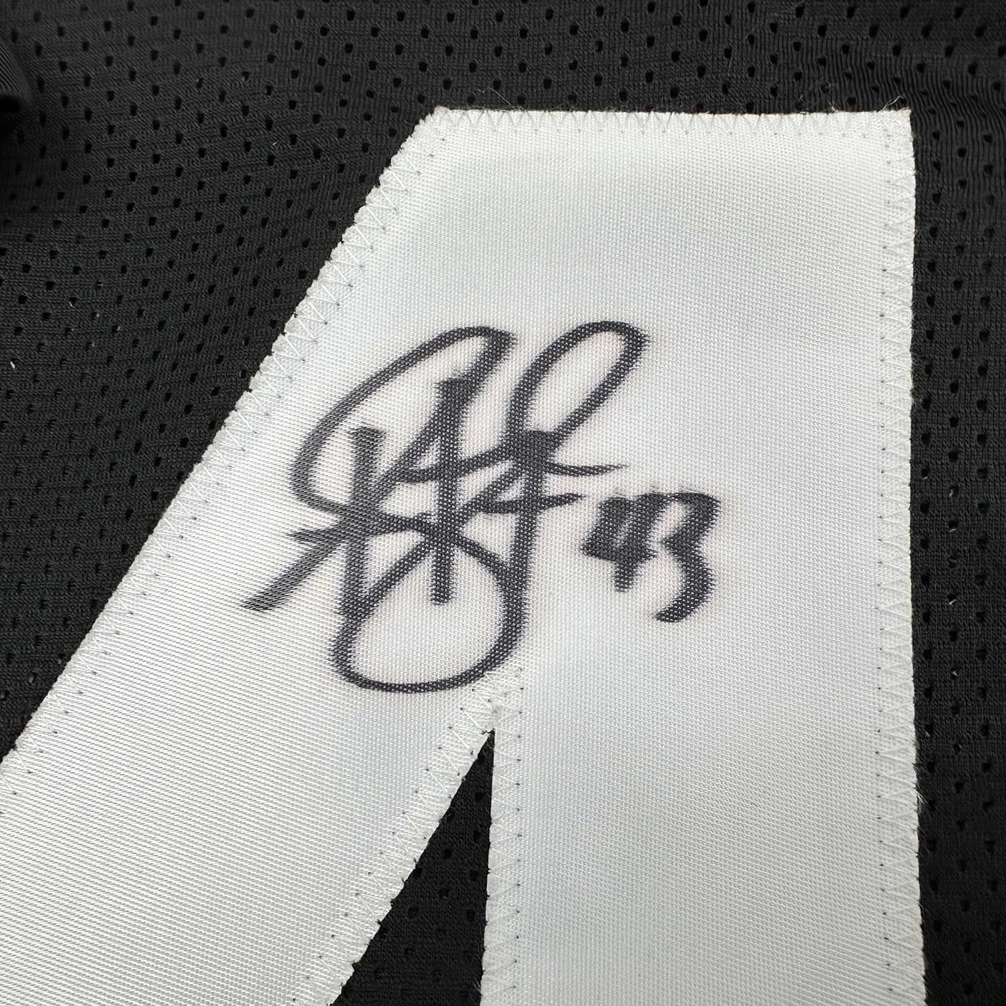 Framed Autographed/Signed Troy Polamalu 35x39 Pittsburgh Retro Black Football Jersey JSA COA