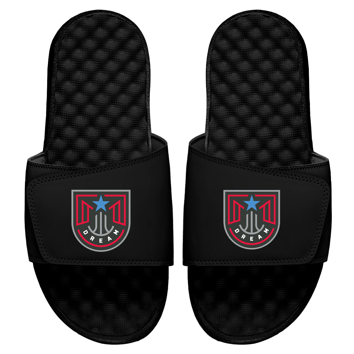 Atlanta Dream Primary Icon Slides