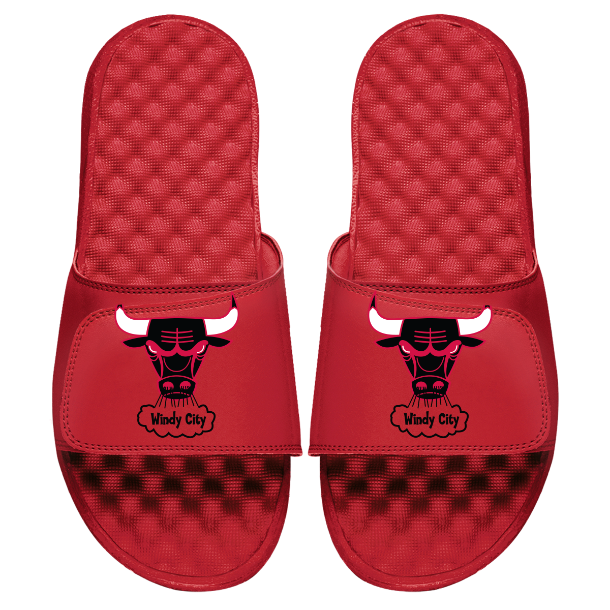 Chicago Bulls HWC Primary Slides