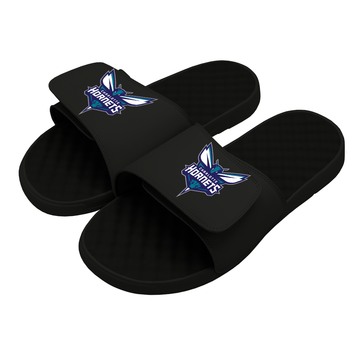 Charlotte Hornets Primary Slides