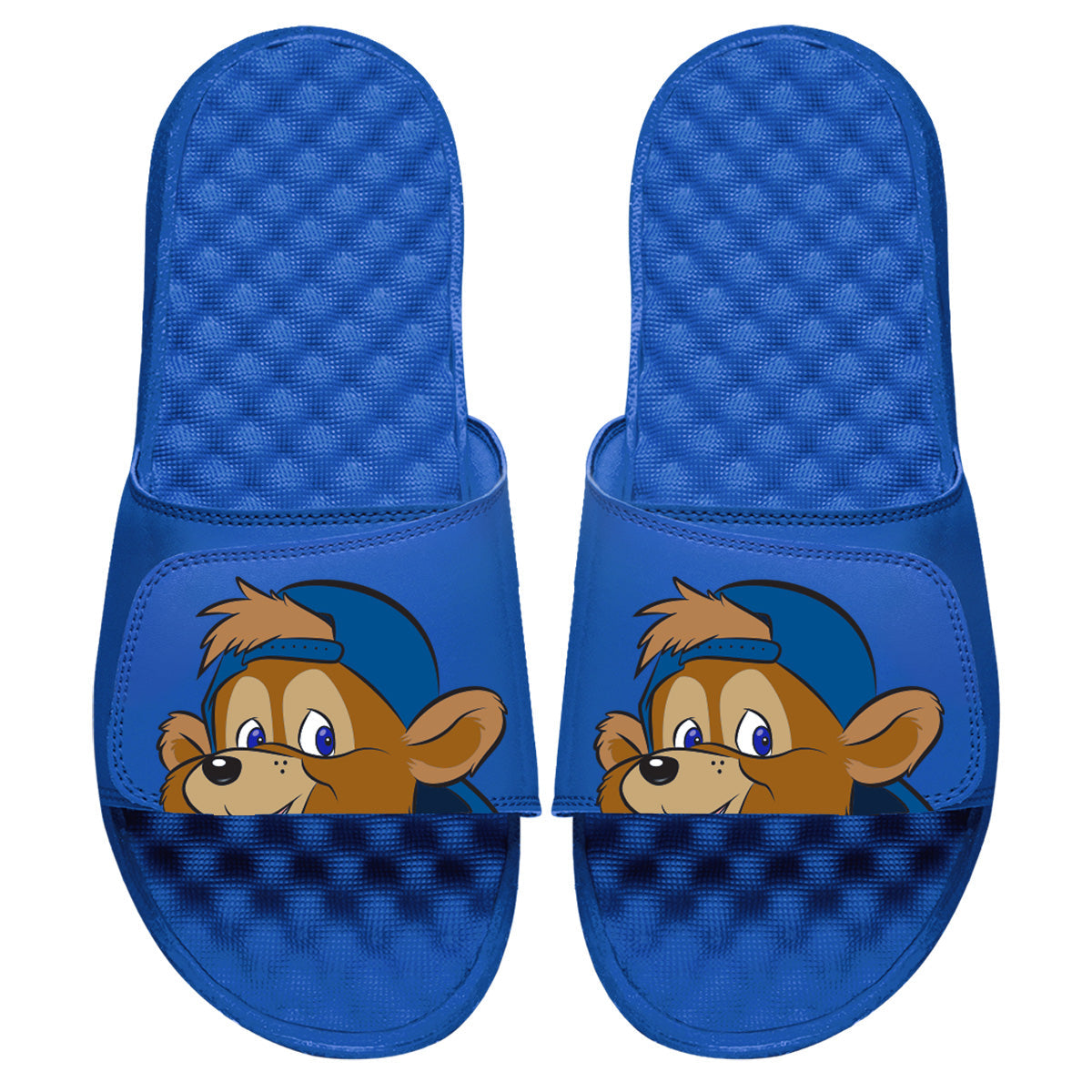 Chicago Cubs Mascot Slides