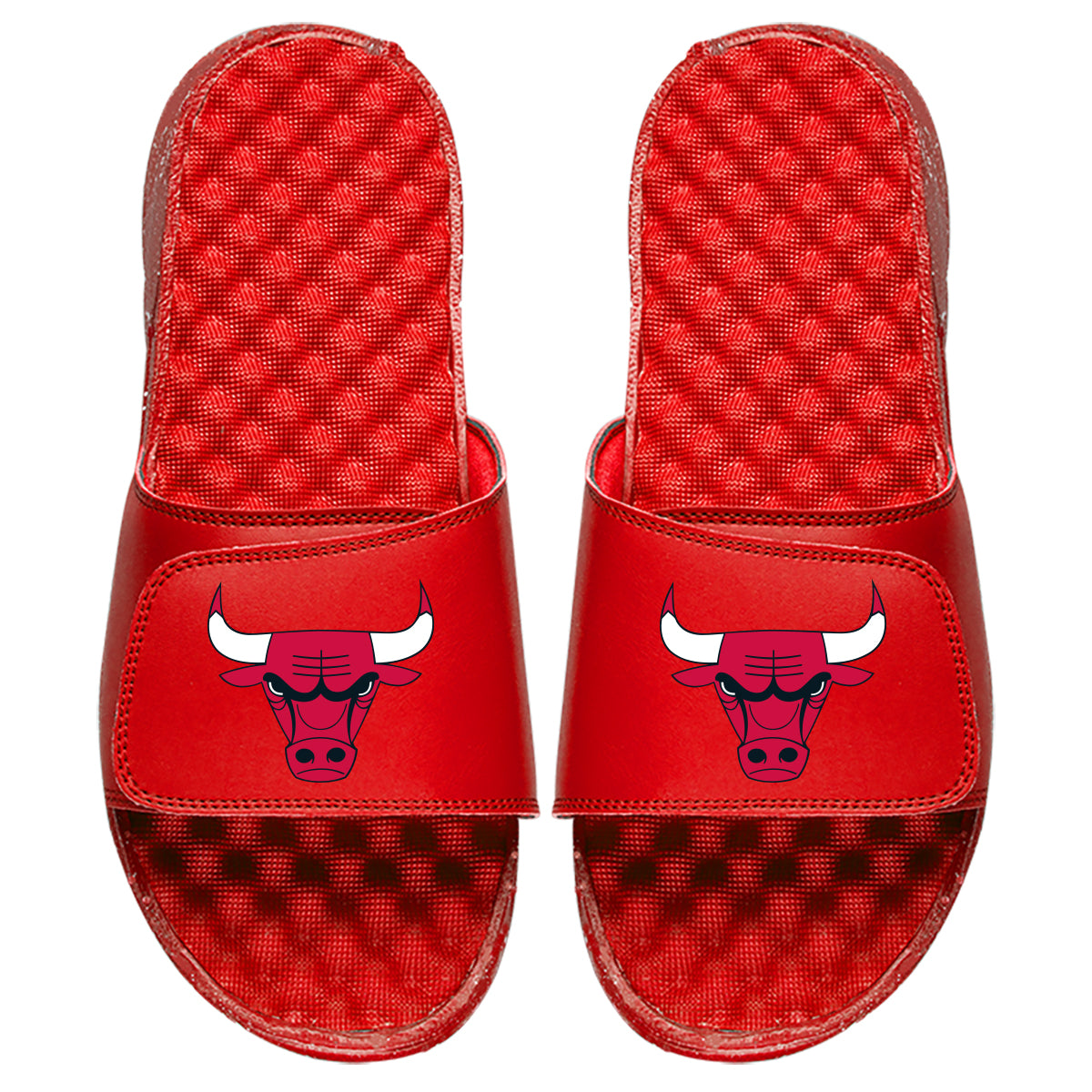 Chicago Bulls Primary Slides