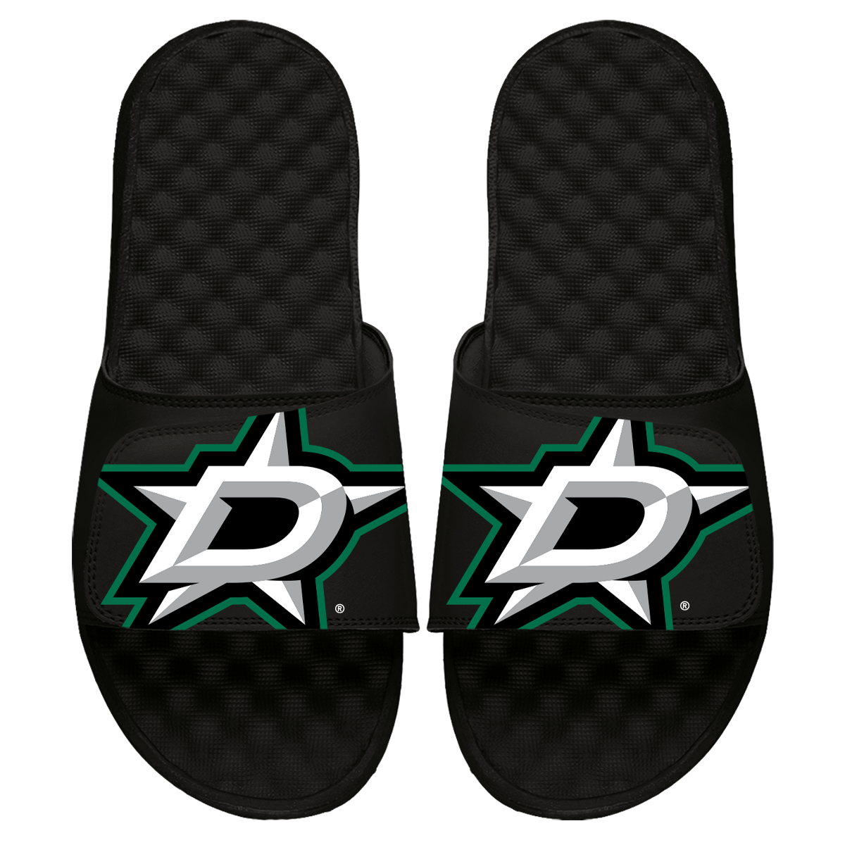 Dallas Stars Blown Up Slides
