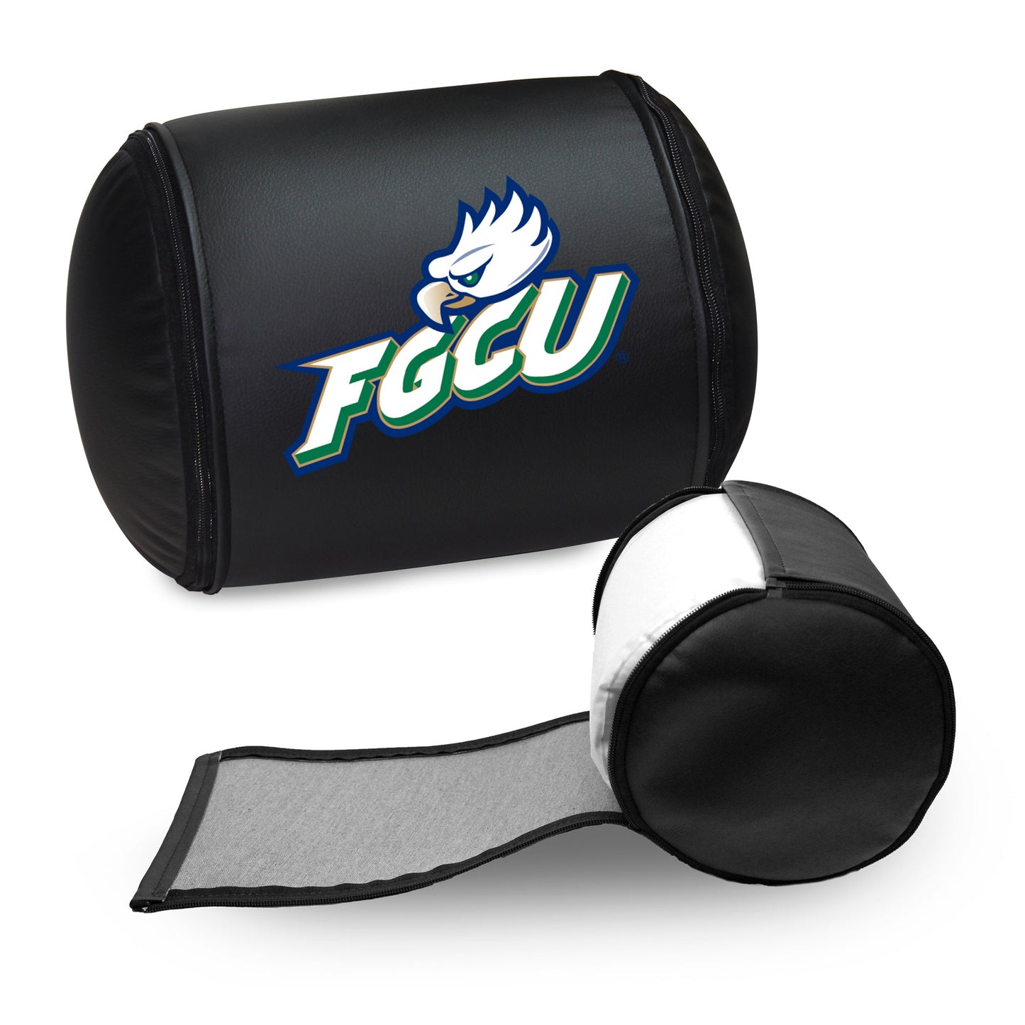 Florida Gulf Coast University Primary Logo Panel