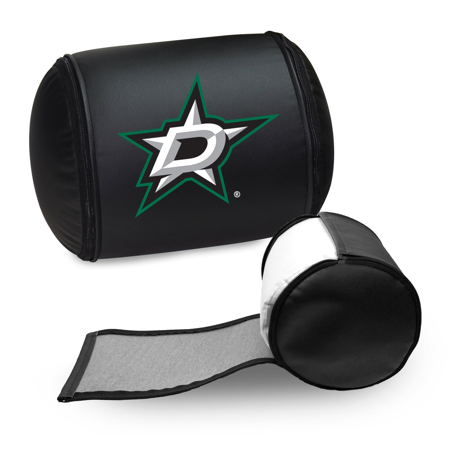 Dallas Stars Logo Panel