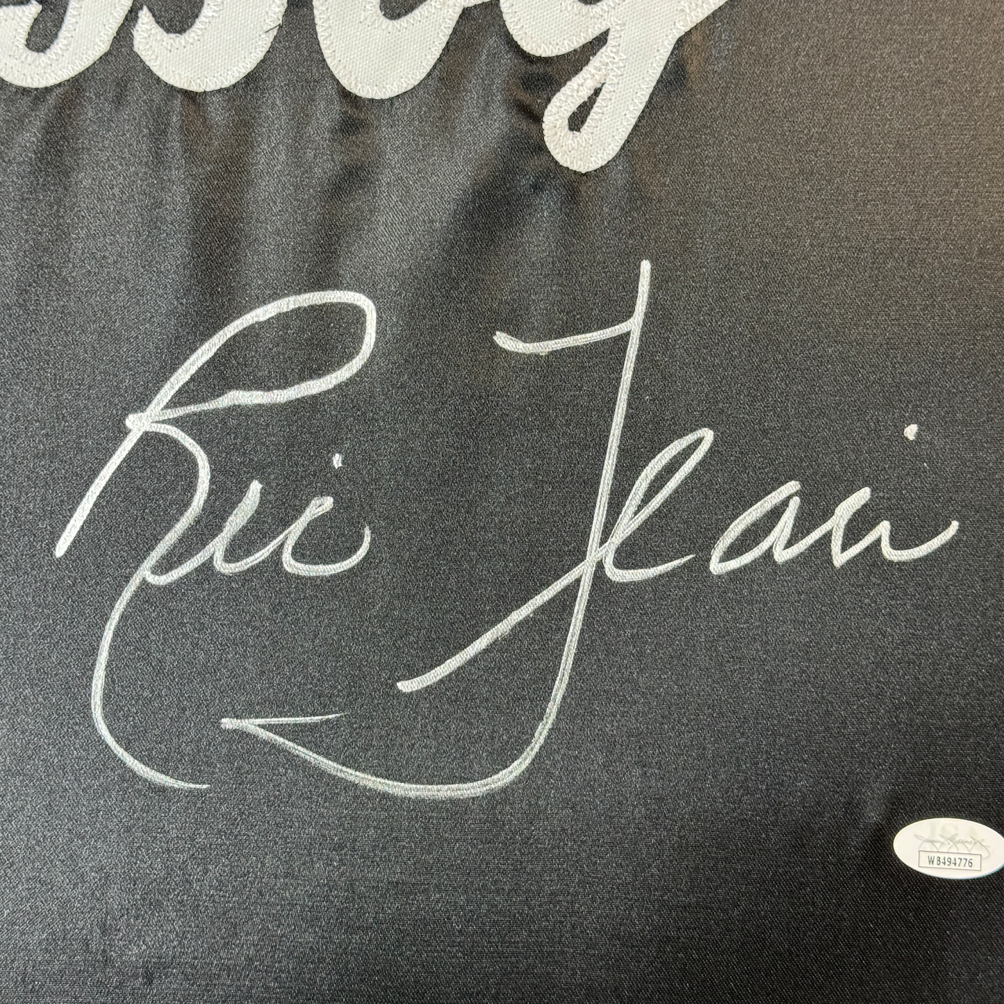 Framed Autographed/Signed Ric Flair 35x39 Nature Boy Black WWE Replica Wrestling Robe JSA COA #2