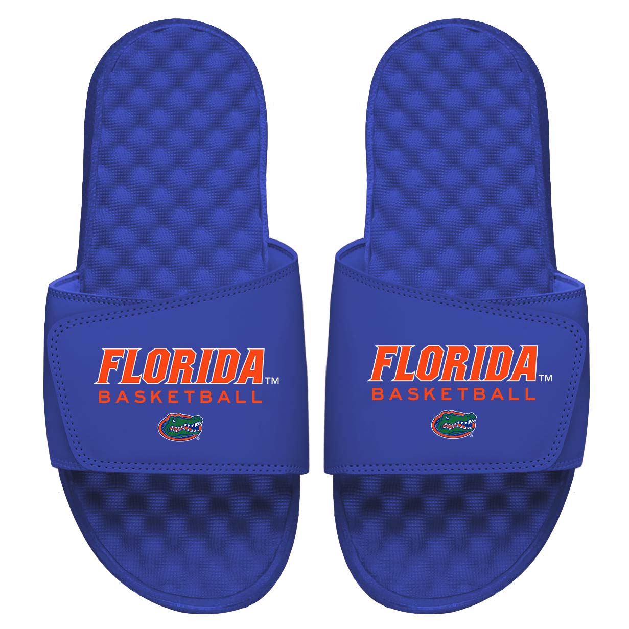 Florida Basketball Wordmark Slides