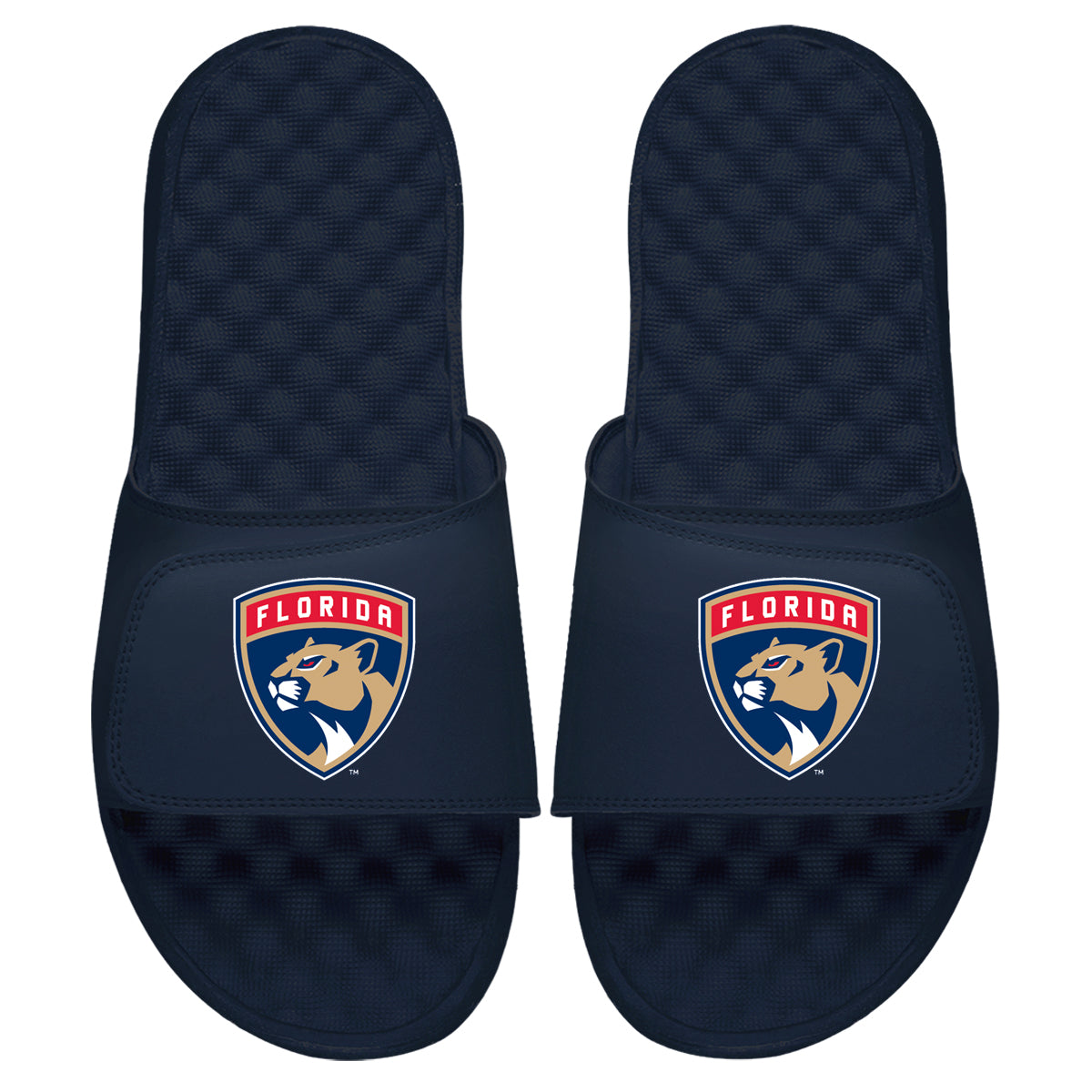 Florida Panthers Primary Slides