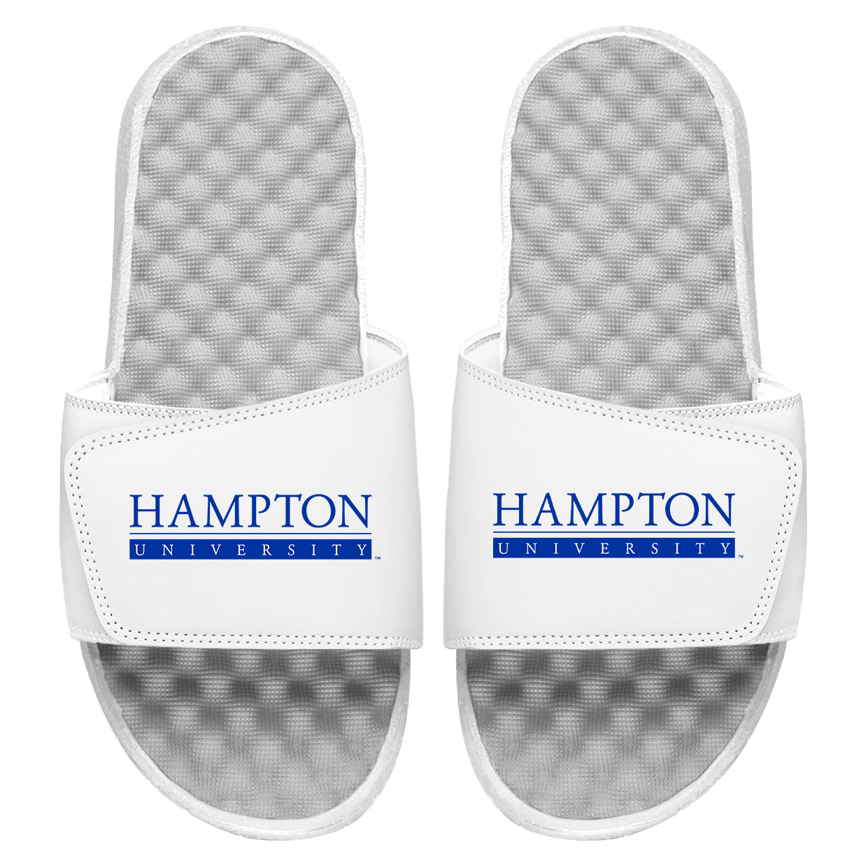 Hampton University Slides