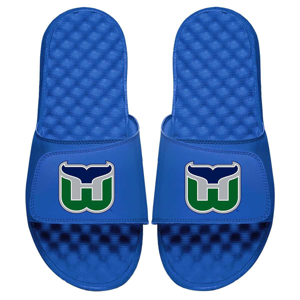 Hartford Whalers Vintage Logo Slides