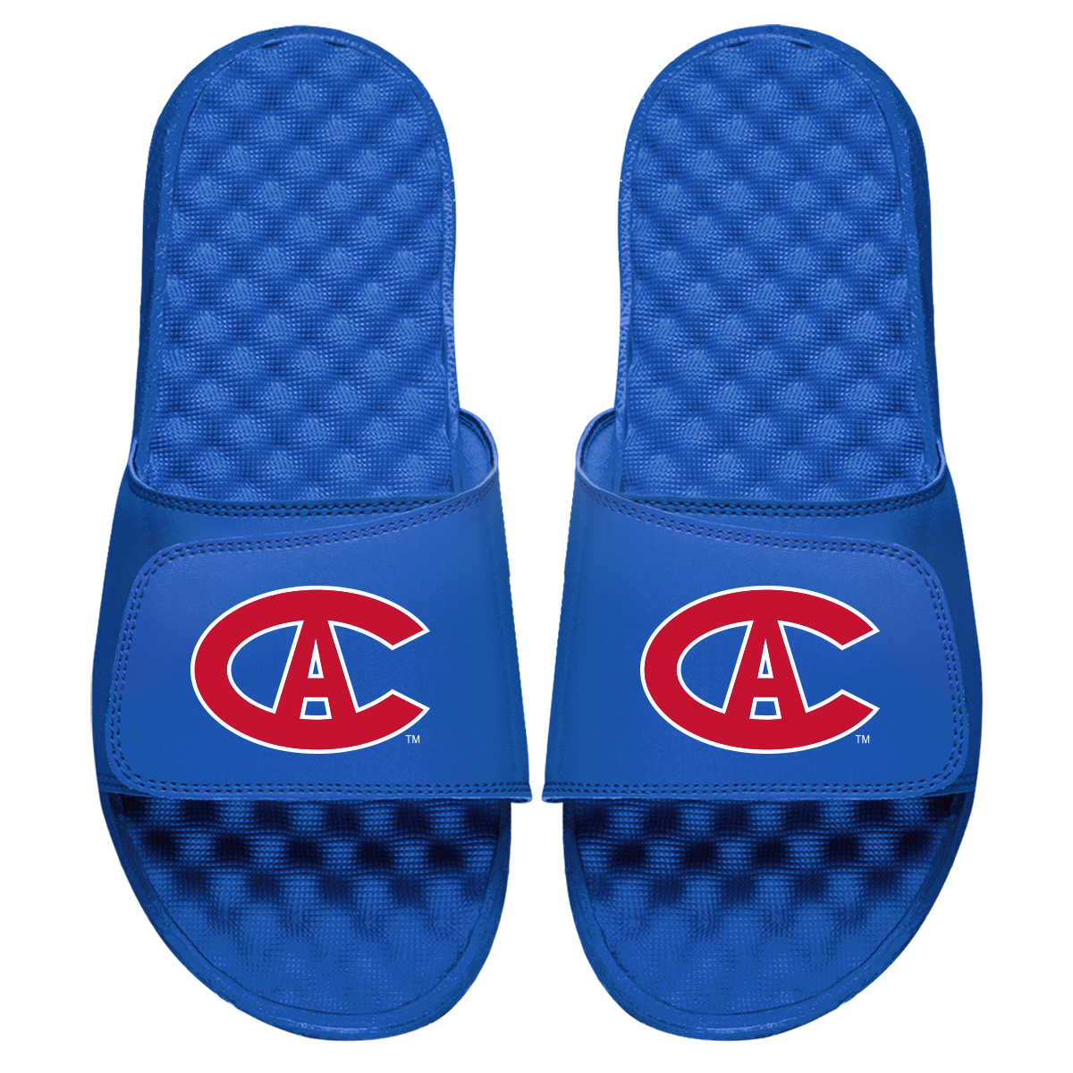 Montreal Canadiens Vintage Logo Slides