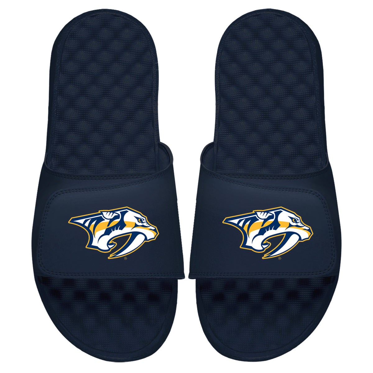 Nashville Predators Primary Slides