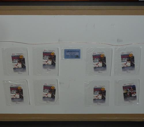 In Living Color 16x20 Photo Deluxe Framed with 8 Cast Autographs - JSA
