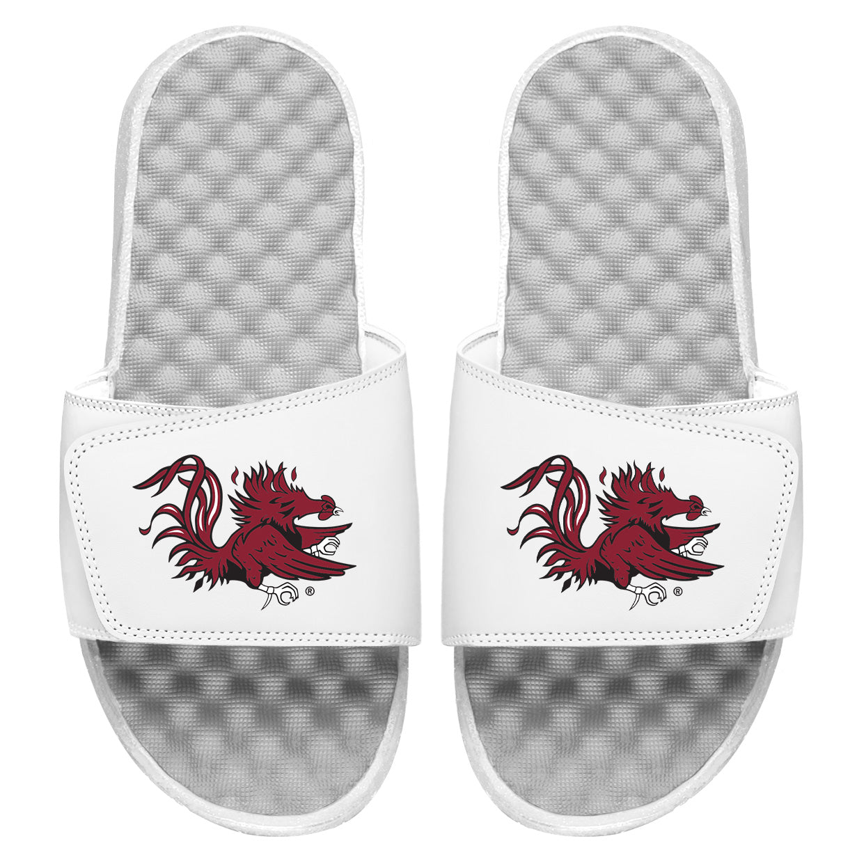 South Carolina Secondary Slides