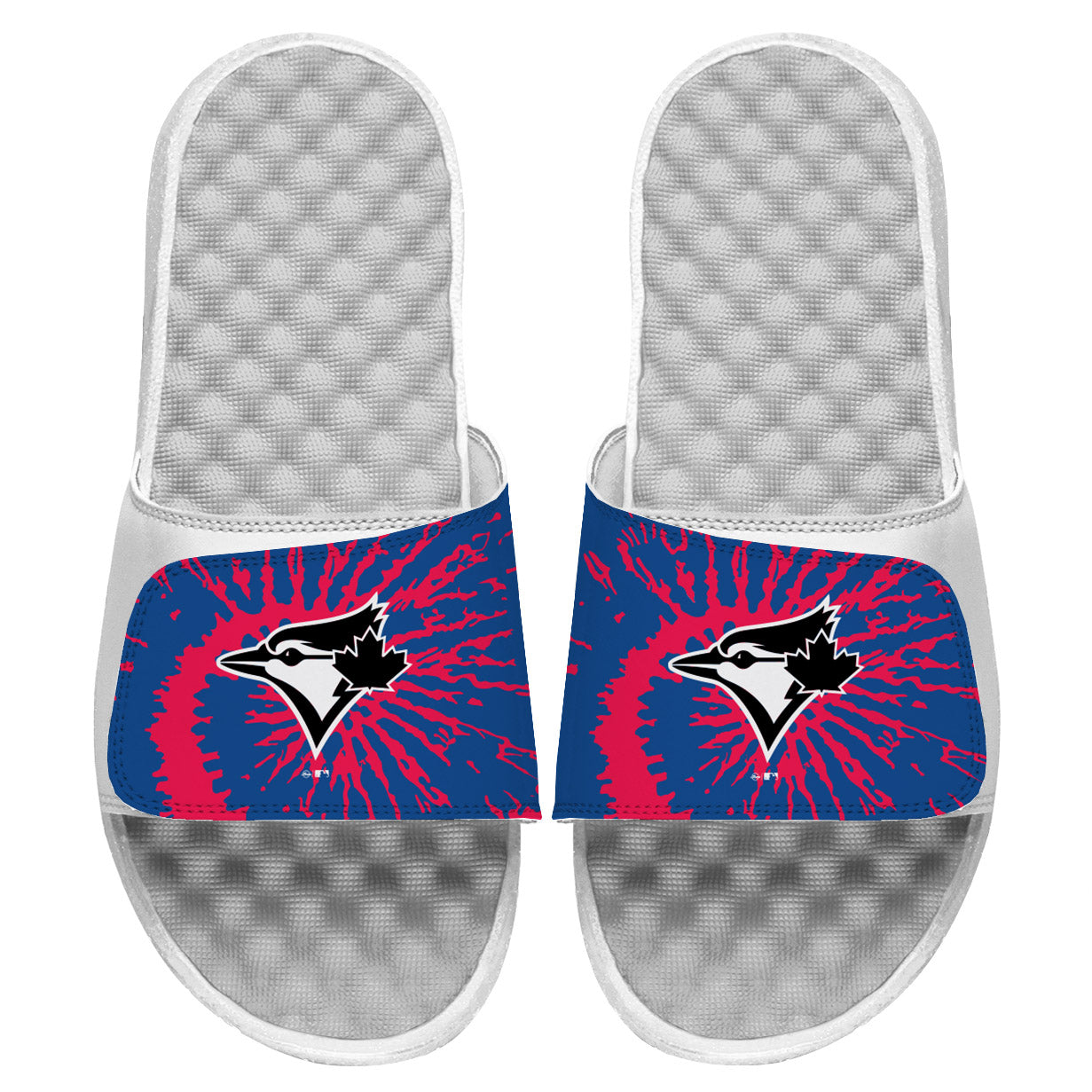 Toronto Blue Jays Slides