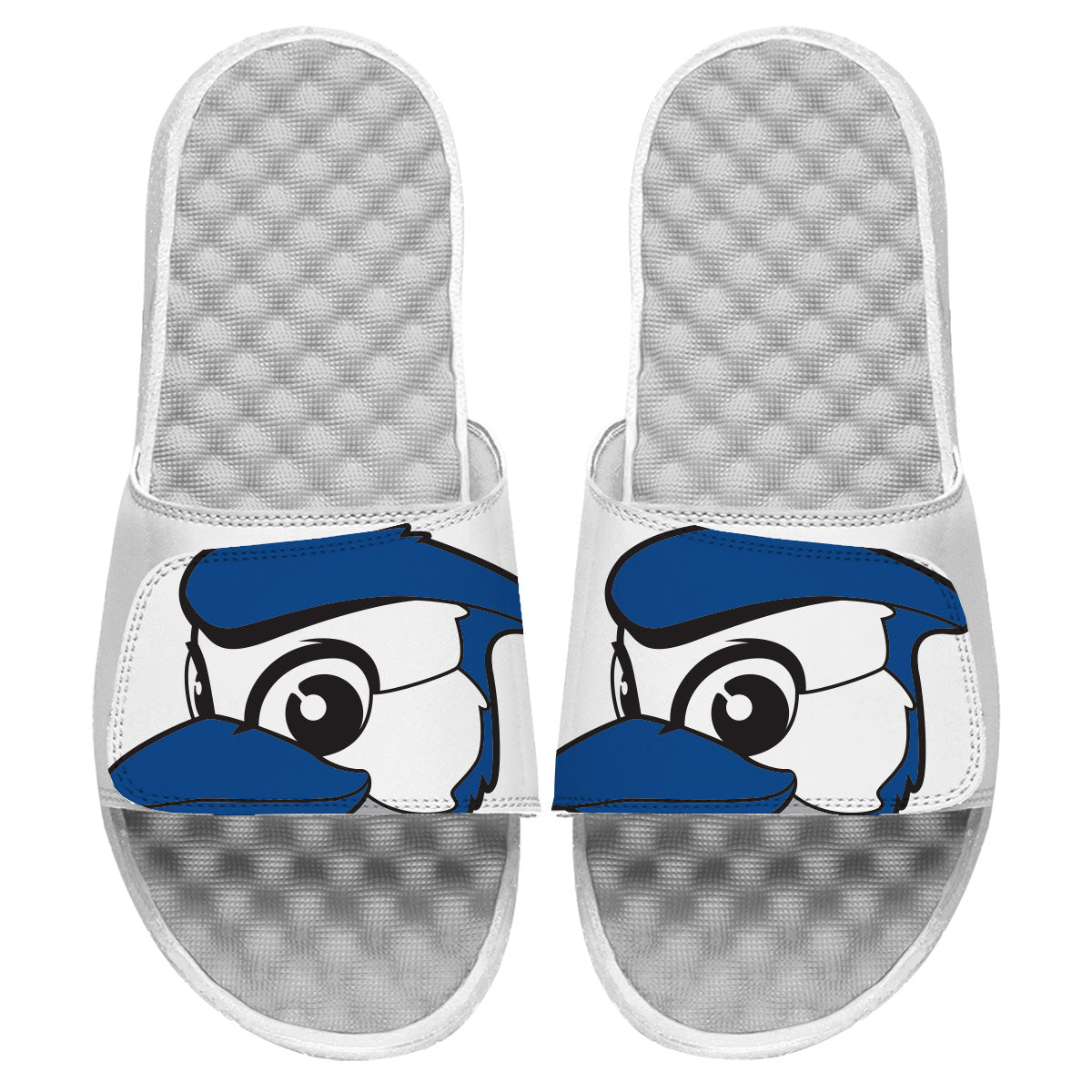 Toronto Blue Jays Mascot Slides