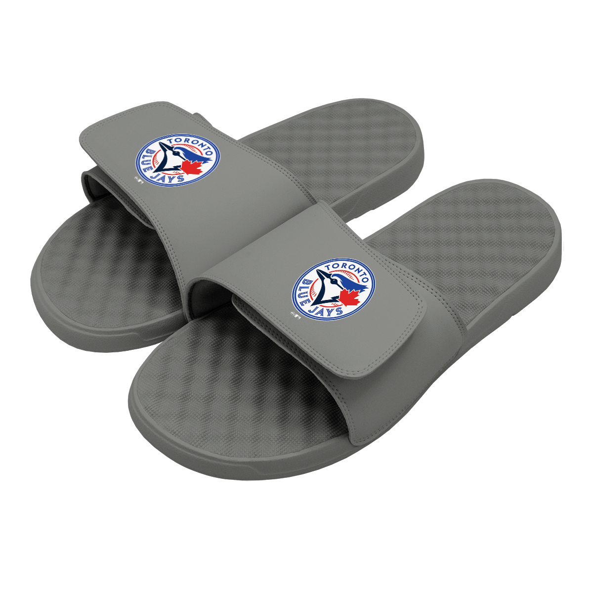 Toronto Blue Jays Primary Slides